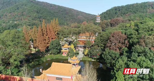 石门洞开，山水含章丨我们奔县吧·石门县篇