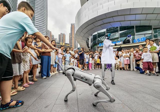 没人觉得龙岗的能量场很高吗？