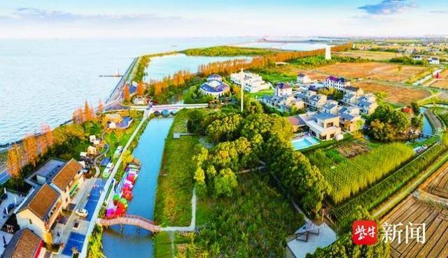 漫游太仓“江海田园” 遇见不一样的诗意江南