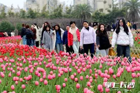“春之约”主题花展来袭，省植物园满园春色等你来赏图片