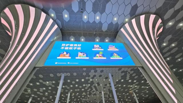 华南旅游旺季，被蚊子叮没了
