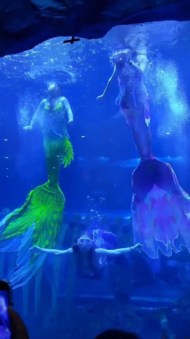 夜夜耶耶~解锁暑期夜游曲江的N种打开方式