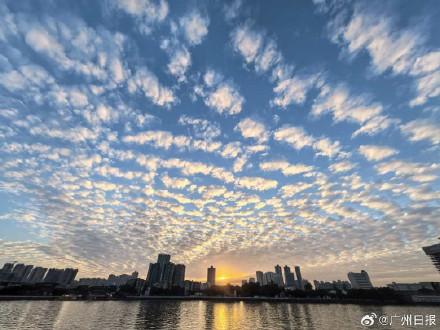 图集｜广州上空出现绝美鱼鳞云
