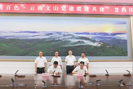 云南文山与广西百色举行党建联建共建签约仪式图片
