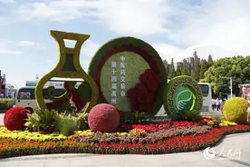 河南禹州：华夏药都迎客来图片