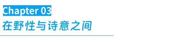 去贵州过秋天，连韭菜都美疯了