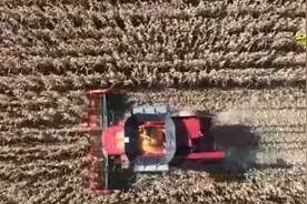 流“金”沃野“丰”景满满“科技范儿” 冬小麦秋播按下“快进键”图片