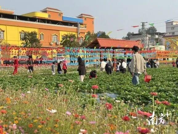 江门大道｜颜值爆表、情绪拉满，元旦假期蓬江开启文旅“新玩法”