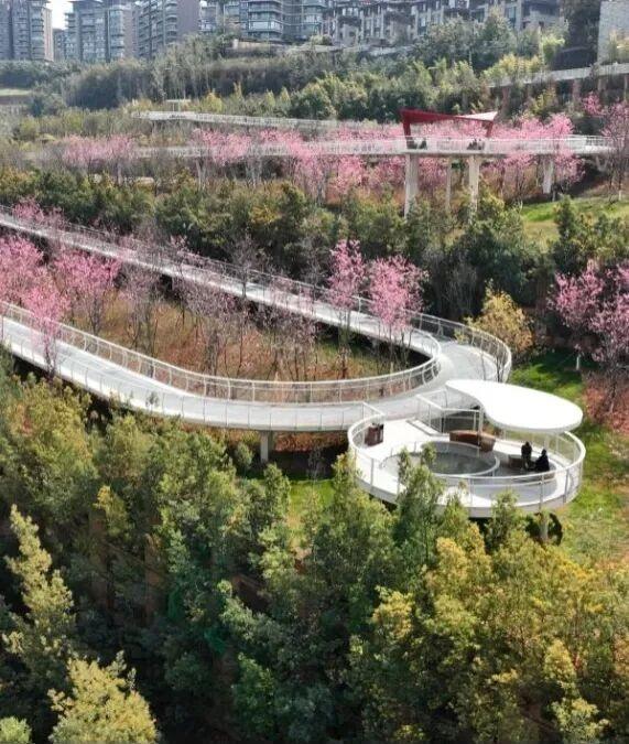 “每一棵树都绿意盎然” ！诺奖得主丹·谢赫特曼盛赞昆明生态建设与城市发展