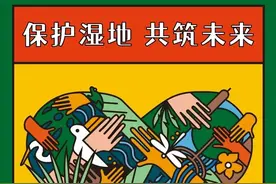 世界湿地日｜保护湿地，共筑未来图片