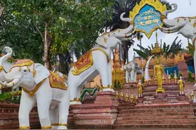 2024·行与思丨一路向南：在西南、华南与中南半岛的田野图片