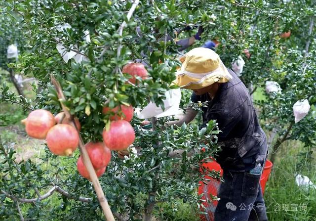 金秋邂逅凉山：9-10月文旅活动精彩预告