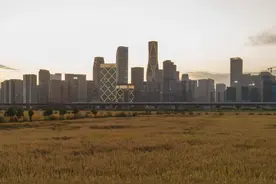 杭州都市稻田迎来“黄金时刻”图片