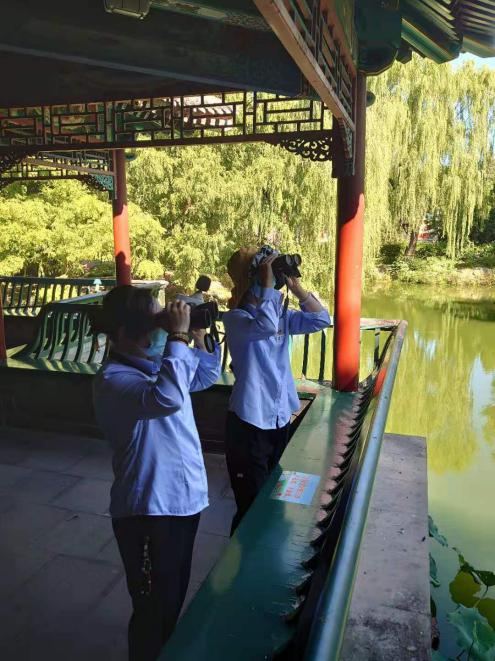 解锁中山公园“生态彩蛋”！守护“古树飞鸟”百年文脉