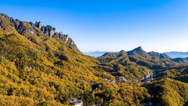 别再问了！洛阳秋色天花板，就藏在这里→