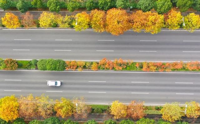这含“金”量，不摆啦！贵阳的秋天，谁懂？