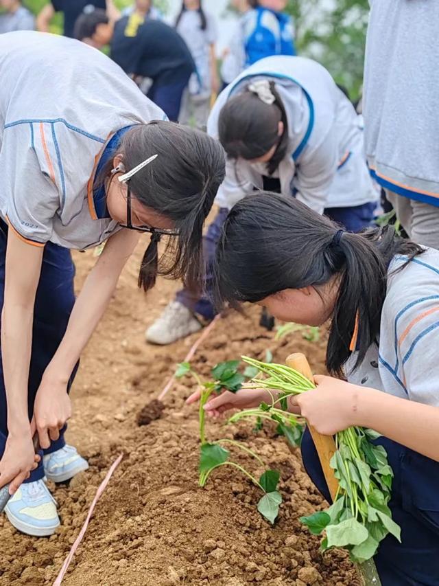 国庆中秋去哪儿玩？溧水首条科普研学路线来了!