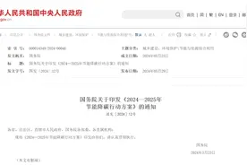 新能源车市再迎利好！国务院：逐步取消各地新能源汽车购买限制  专家称放开限购是大趋势图片