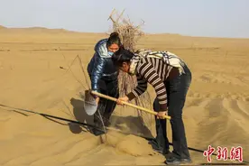 新疆塔克拉玛干沙漠如何成功“锁边”？图片