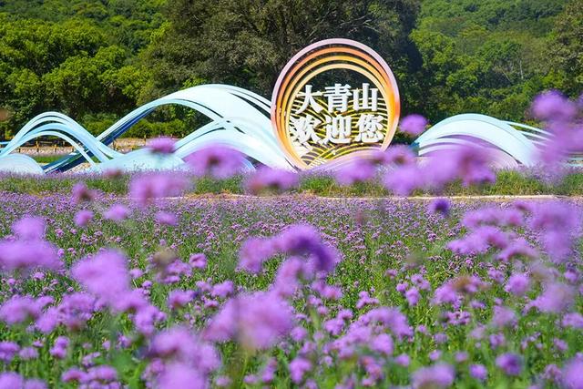 舟山的浪漫，藏在这些“山海”里！