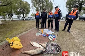 长江里钓出3条大花鲢，被执法部门当场查处图片