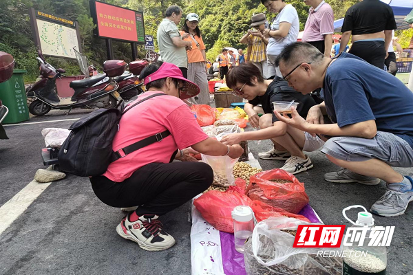 桂东新坊：“红纽带” 热文旅 景美业兴民更乐