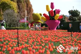 【早安云南·云游】春色满滇，踏青正当时图片