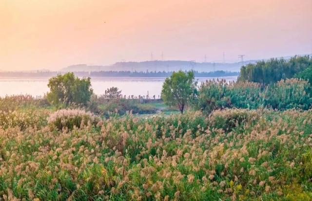 现在的宜兴，已经美成这样了……