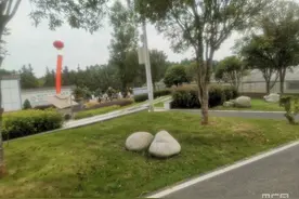 乡村旅游多元化，打造新的“诗和远方”图片
