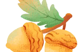 她健康 | 这一把坚果，吃起来大有讲究图片