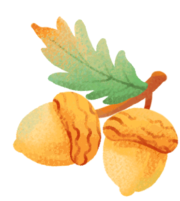 秋假去哪儿?来仪陇可以这样玩→