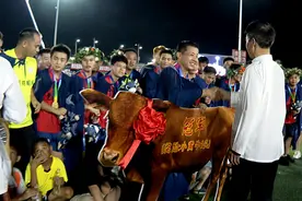 奖励一头小黄牛！2024榕江“村超”冠军球队诞生图片