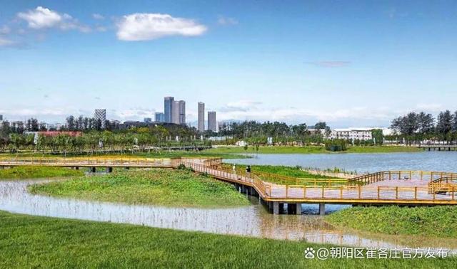 “骑行碳路”！从崔各庄黑桥公园出发，邂逅朝阳绿水青山～