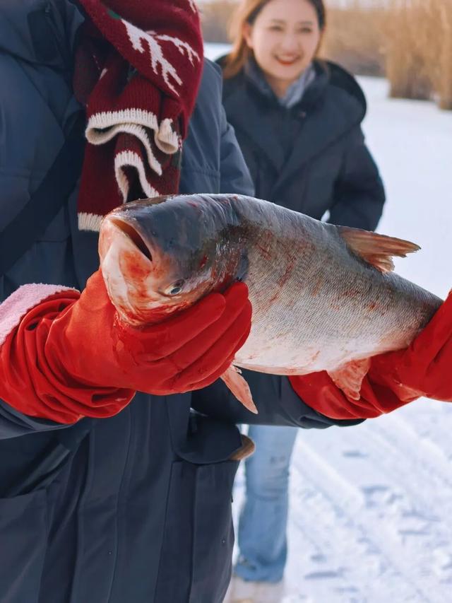 别问冷不冷，就问明天10点哈素海你到不到！冬捕、温泉、美食这里全！都！有！