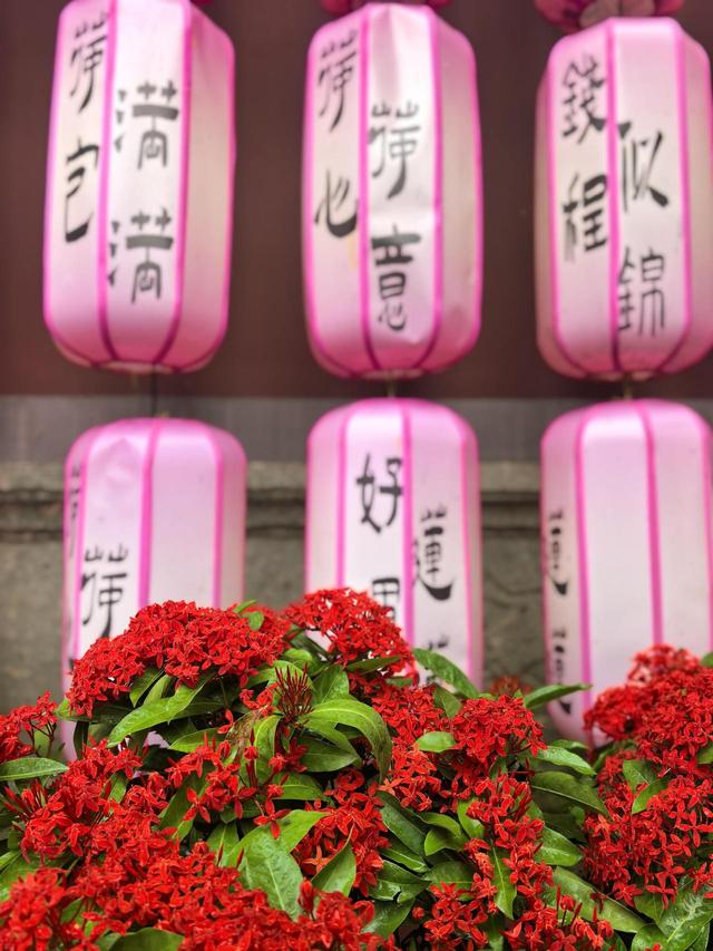 晚潮｜苏堤夜月与钱祠香雨