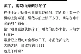 事发上海迪士尼！雷鸣山有人“跳船后登山”？回应图片