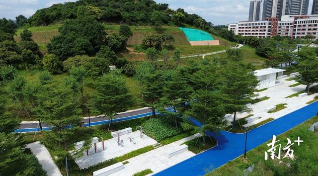 国庆开放！塘厦又添一座新公园，抢先看来了