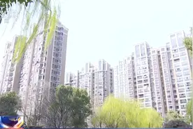 貉群“拖家带口”进城安家 居民如何做到“貉”谐共处？图片