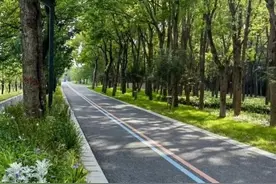 环城绣彩带，浦东绿道上新成果抢先看图片