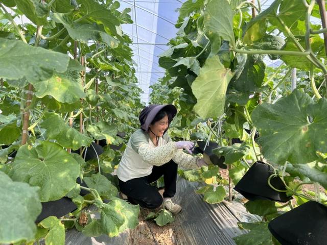 跟着村歌游增城！这个深秋，天籁乡音开启美好荔乡之旅