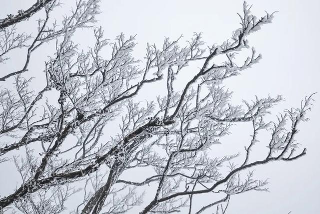 连云港下雪了！这件事要注意！
