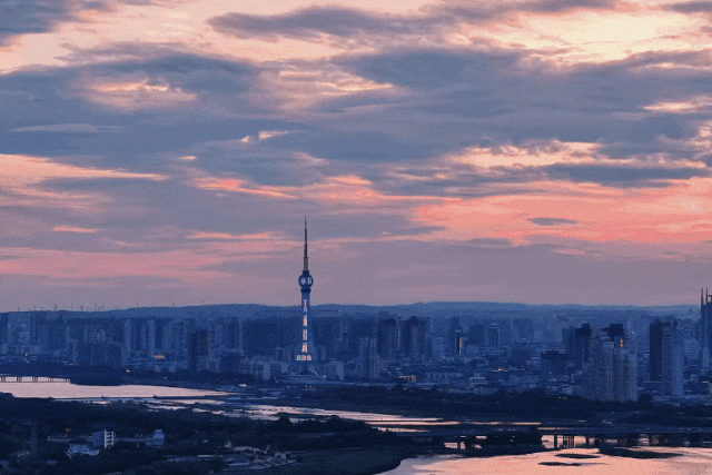 我们，如此热爱洛阳