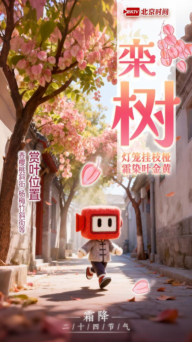 霜降踏京秋 一叶一风光｜8种彩叶绘就北京多彩又诗意的秋