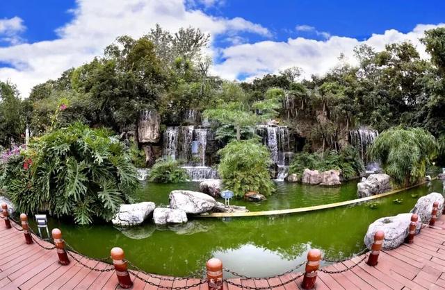 家门口的这些公共文化服务可“圈”可“点”，来了解一下