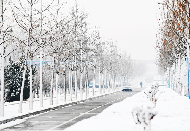 谁说冬天只有白色！快来解锁冀南新区冬日色彩
