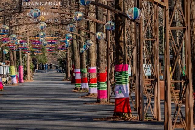 这么萌的树，谁能拒绝！