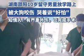 湖南邵阳10岁男孩放学路上被大狗咬伤，哭着说“好怕”，知情人：有严重外伤，已完成手术图片