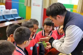 识中草药，打八段锦…江夏这群小学生的中医药文化课体验感满满图片