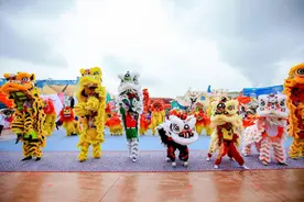 超然！南京欢乐谷上演狮王争霸赛 还有“街头艺术节”精彩等你嗨图片