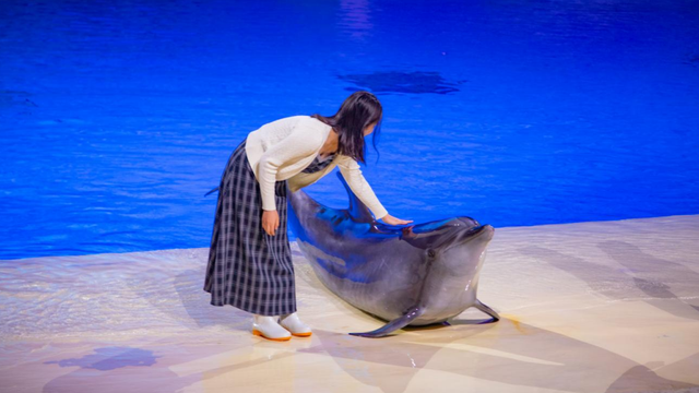 桂林融创乐园海世界，这样玩！